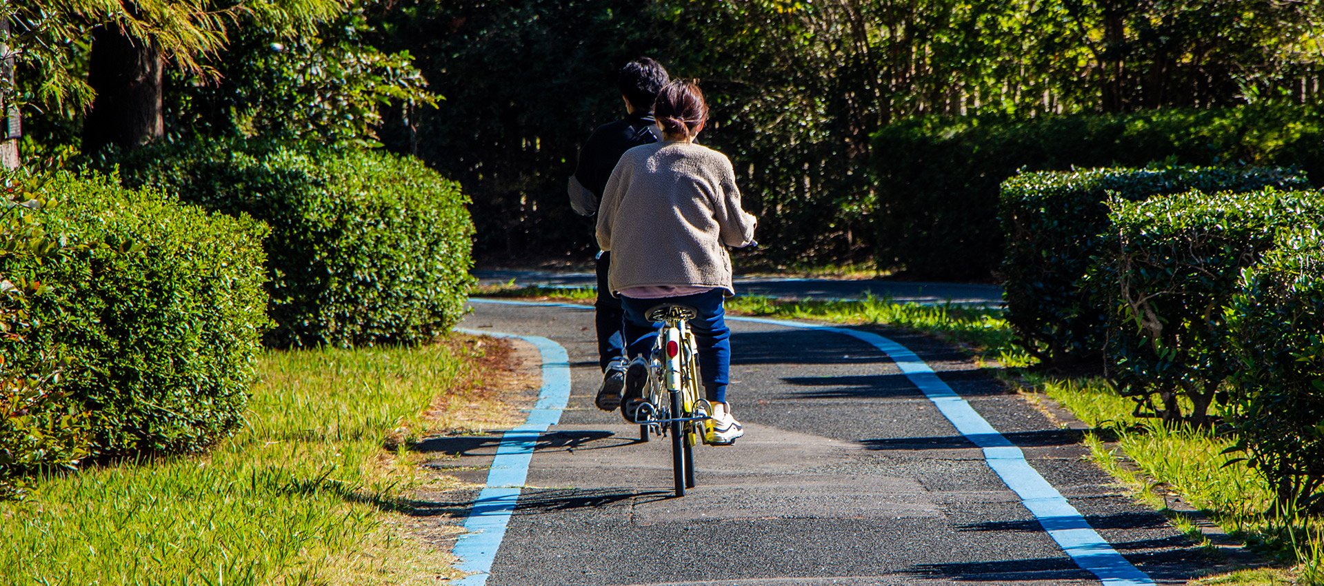 🏞️ 우미노나카미치 해변공원 (우미노나카미치카이힌코엔) 이미지 5